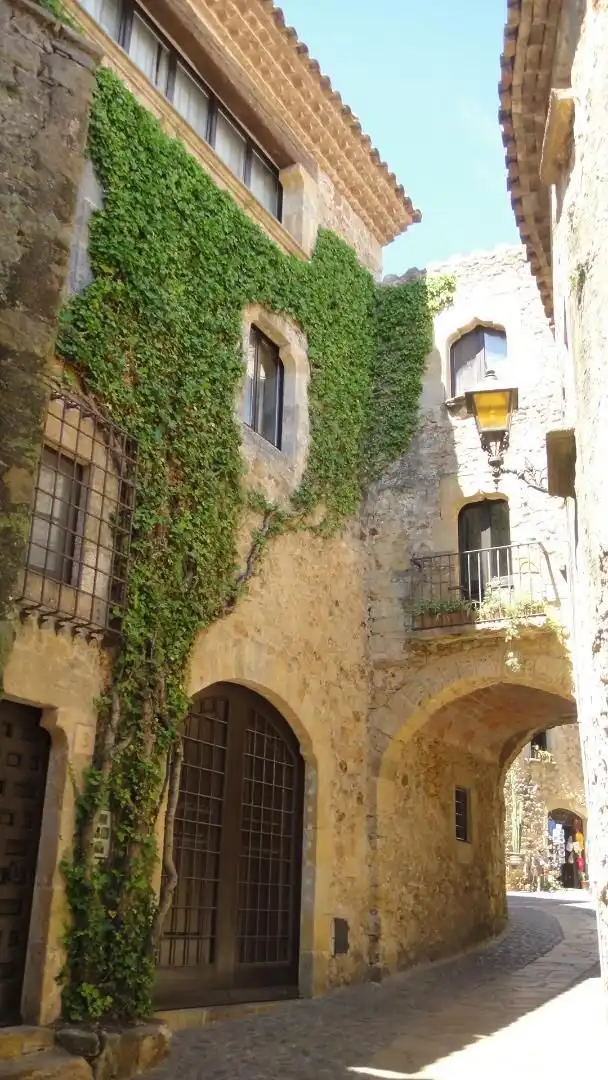 Casa o chalet en venta en Carrer l'Avi Rajoler, Pals