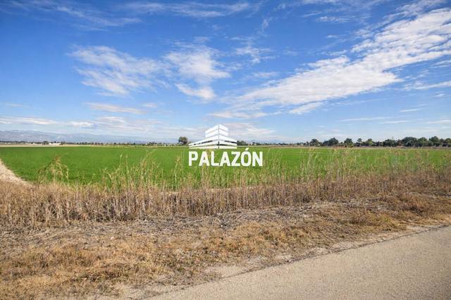 Terreno en Venta en de los Vahillos en Catral