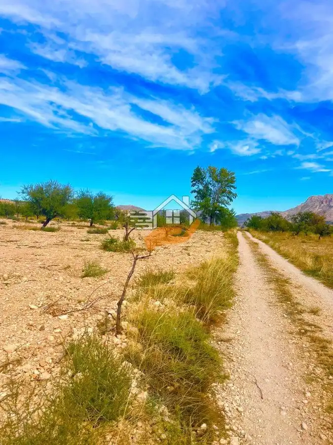 Casa rústica en venta en Vélez-Blanco, imagen 16