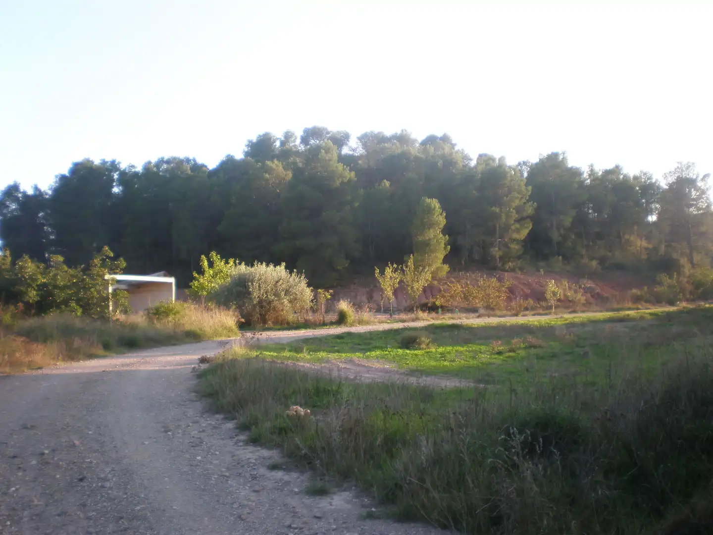 Terreno rustico in vendita a Pedanías Norte, imagen 6