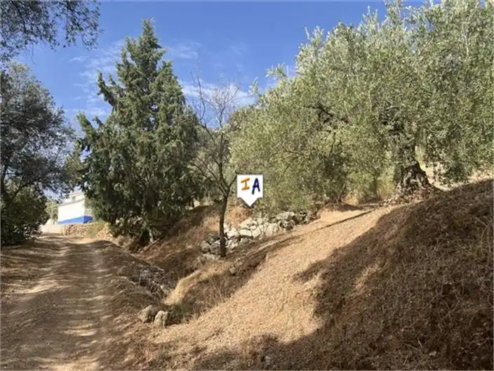 Casa rústica en venda a Priego de Córdoba, imagen 15