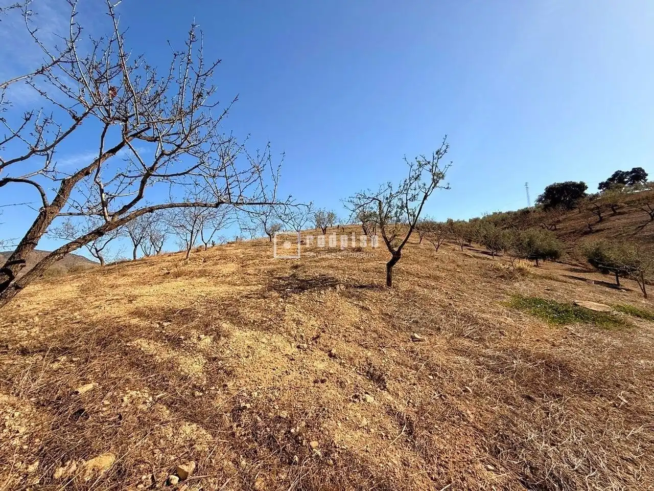 Residential land for sale in Diseminados, imagen 5