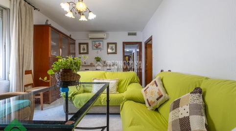 Foto 4 de Piso en venta en Santa Rosa - Valdeolleros, Córdoba