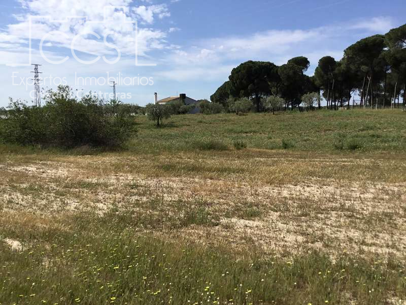Finca rústica en venda en Almonte amb Terrassa i Moblat
