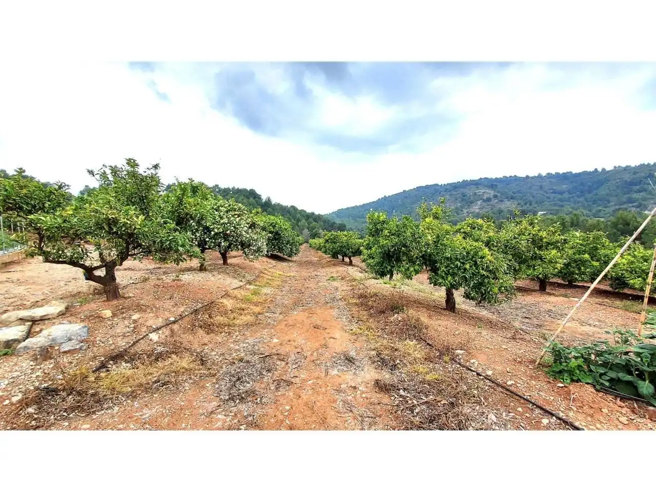 Rural land for sale in 30, imagen 7