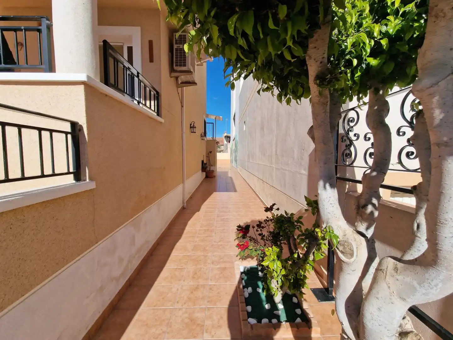 House for sale in Formentera del Segura, imagen 2