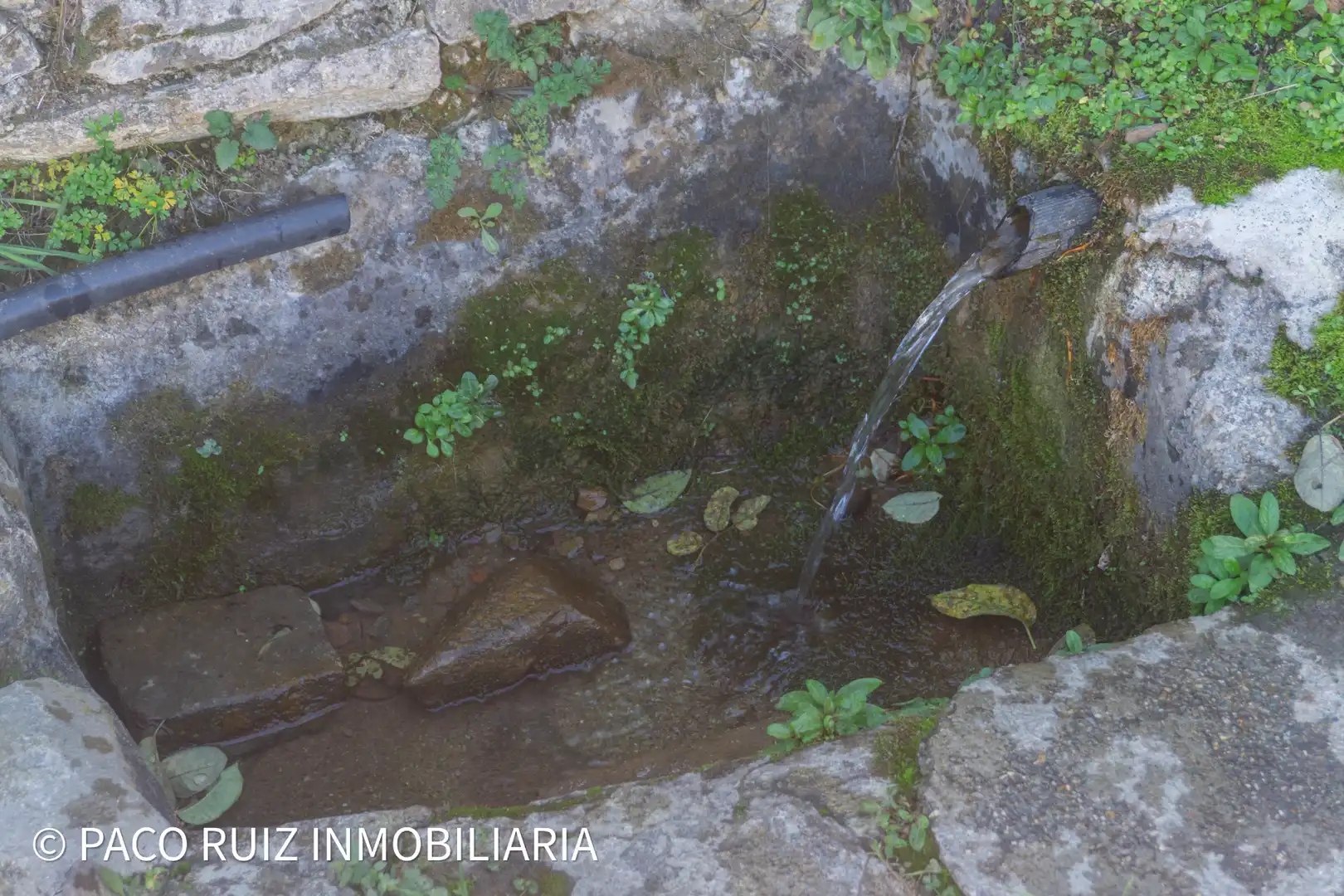 Jardín de Finca rústica en venta en Purchena