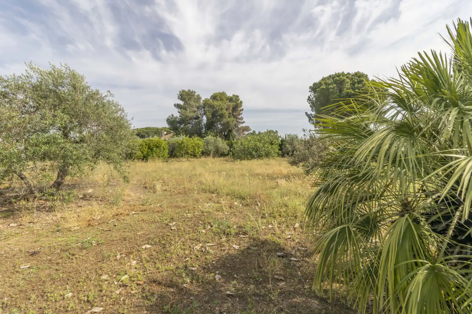Casa o chalet en venta en Carmona con Piscina