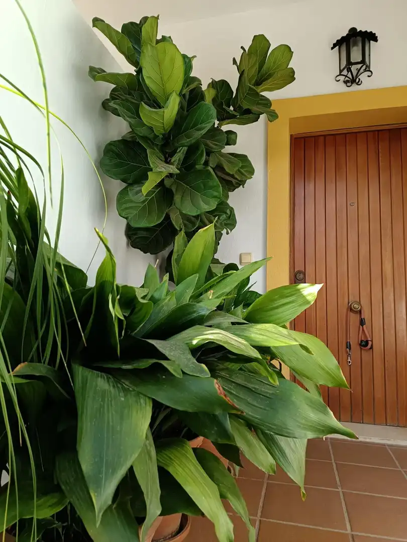 Reihenhaus zum Verkauf in Estepona Pueblo, imagen 18