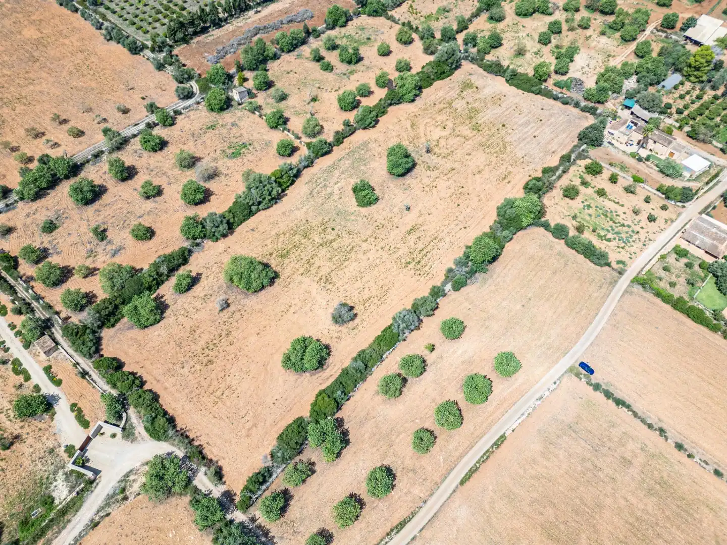 Rustikales Grundstück zum Verkauf in Manacor Centre, imagen 27