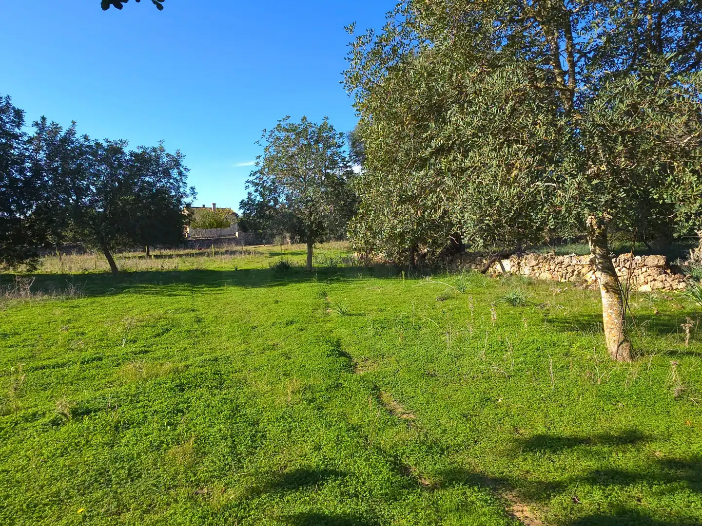 Terreni e lotti in vendita a Santa Margalida Poble, imagen 2