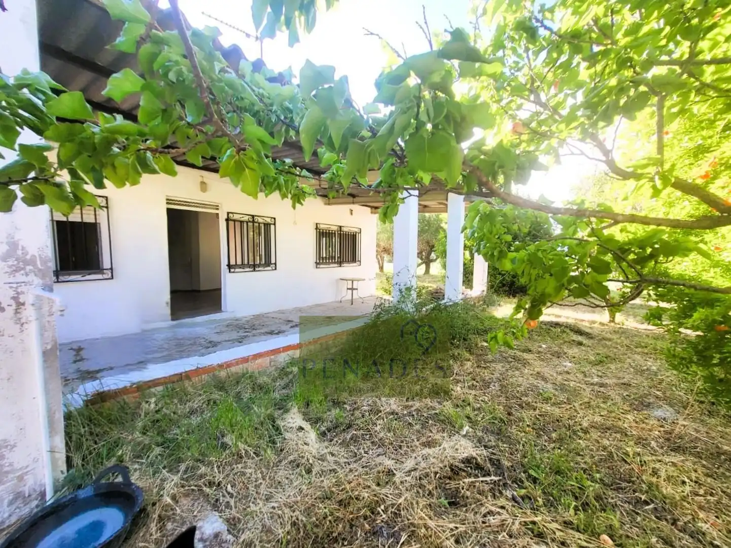Jardín de Casa o chalet en venta en Ontinyent con Jardín privado