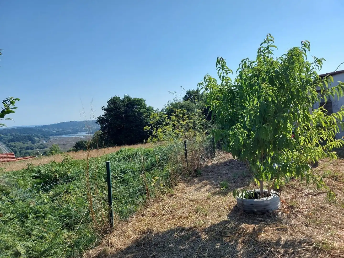 Rustikales Grundstück zum Verkauf in CASTRO PONTENLLAS 43, imagen 3