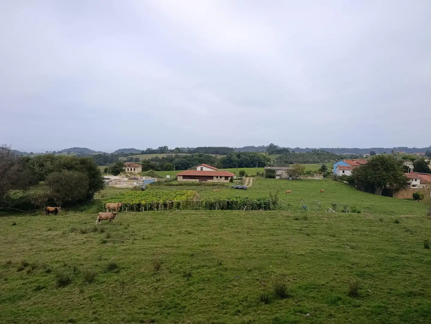 Rustikales Grundstück zum Verkauf in Carretera Piñera (Noriega) 0, imagen 63