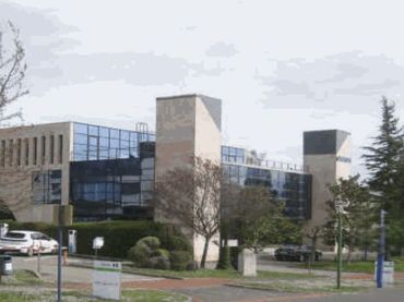 Ufficio in affitto a Zona rural noroeste
