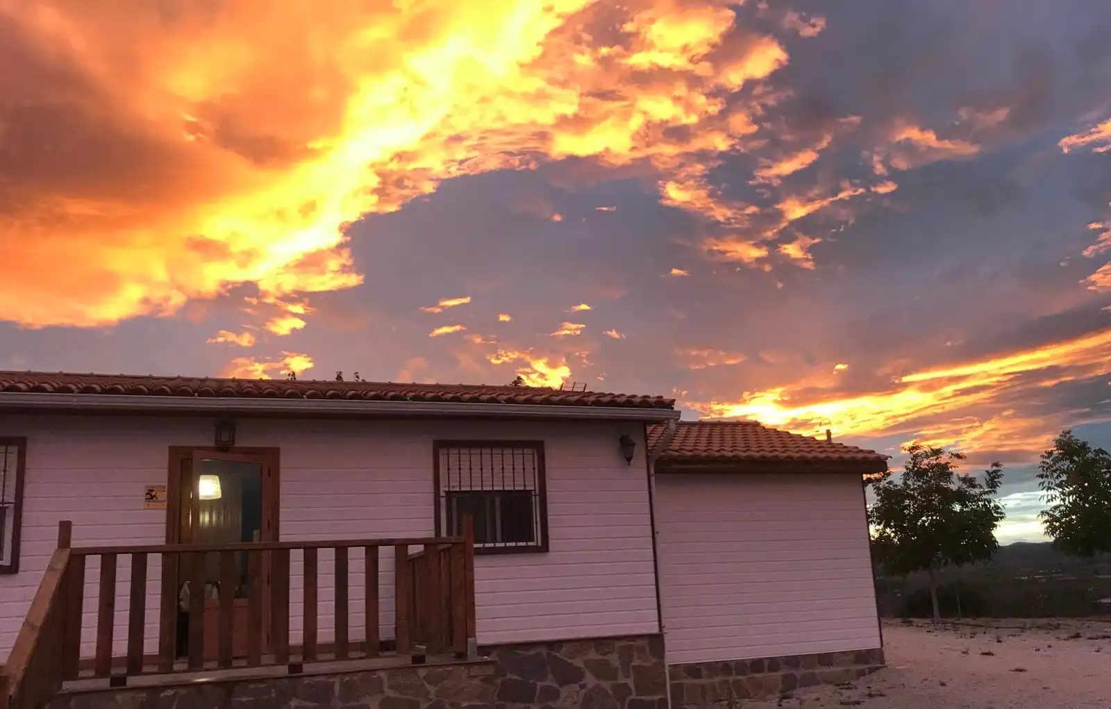 Vista exterior de Finca rústica en venda en Pliego amb Jardí privat, Terrassa i Traster