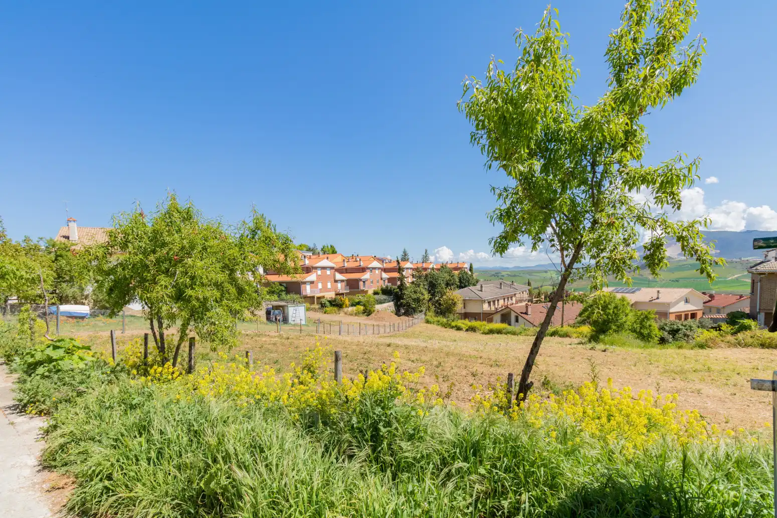 Exterior view of Land for sale in Griegos