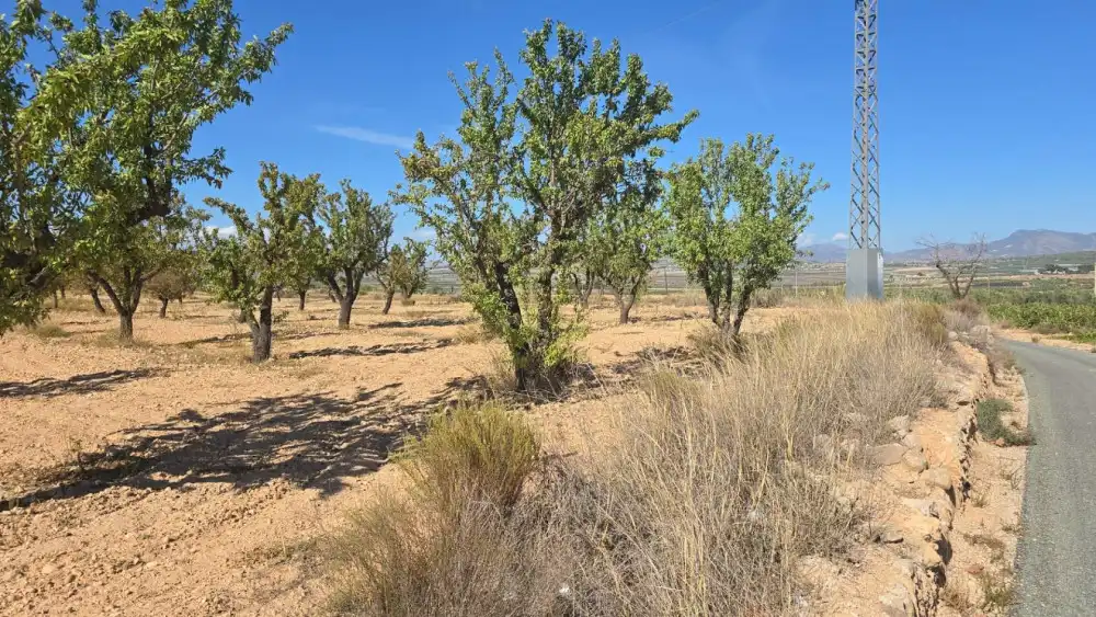 Residential land for sale in Salinas, imagen 2