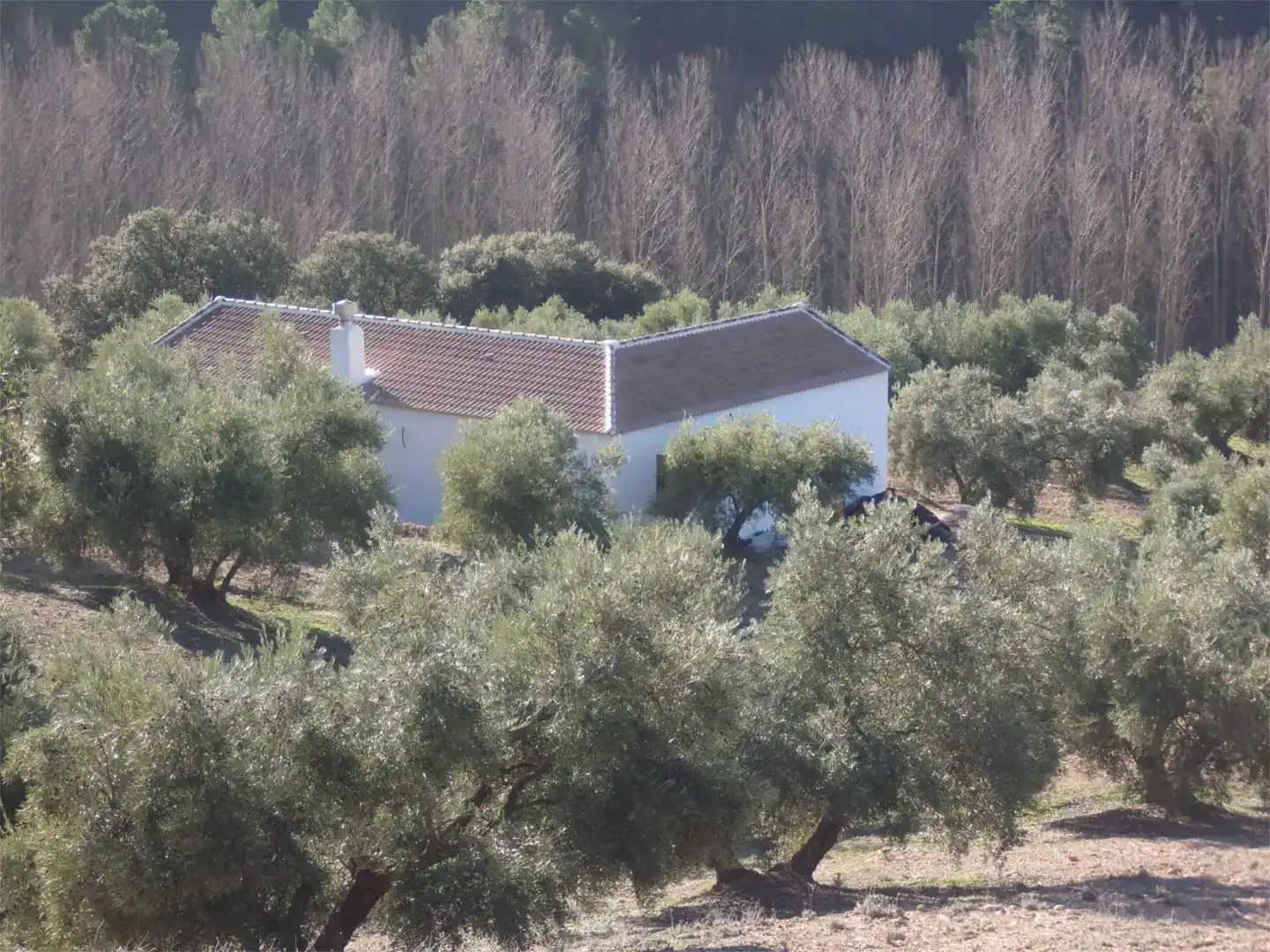 Vista exterior de Finca rústica en venta en Jayena, Granada