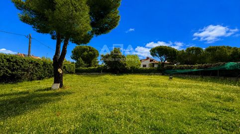 Parcela Urbana Llana de 901 m2 en Las Rozas   Proyecto Opcional  ABA Expertos Inmobiliarios., imatge 2