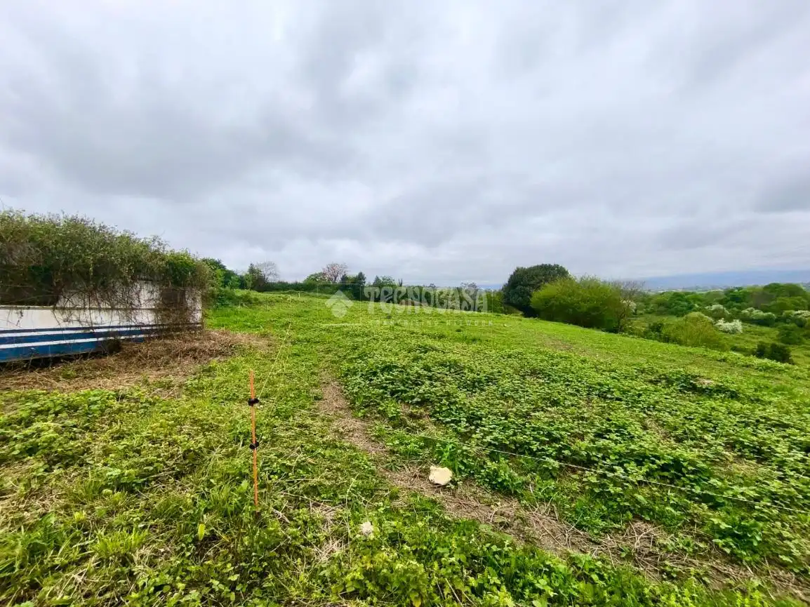 Land for sale in Siero