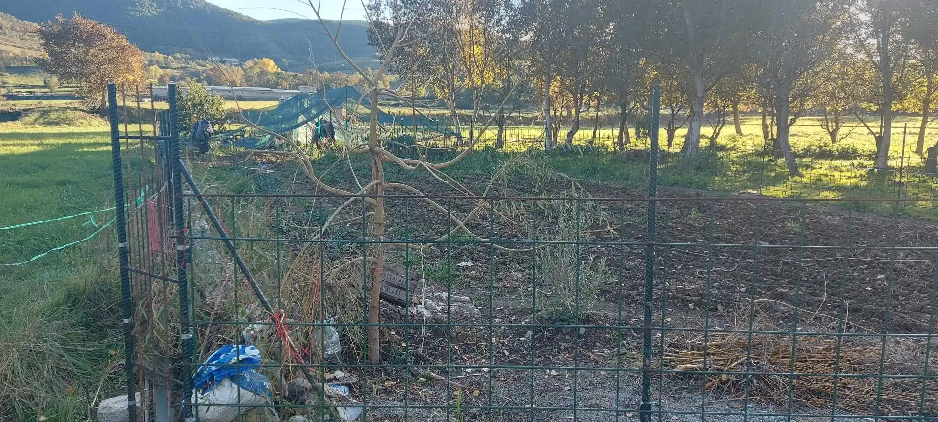 Lands and plots for sale in Alàs i Cerc, imagen 3