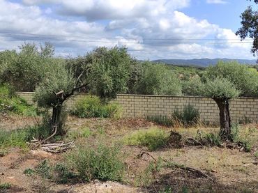 Terrenos y solares en venta en Norte-Sierra