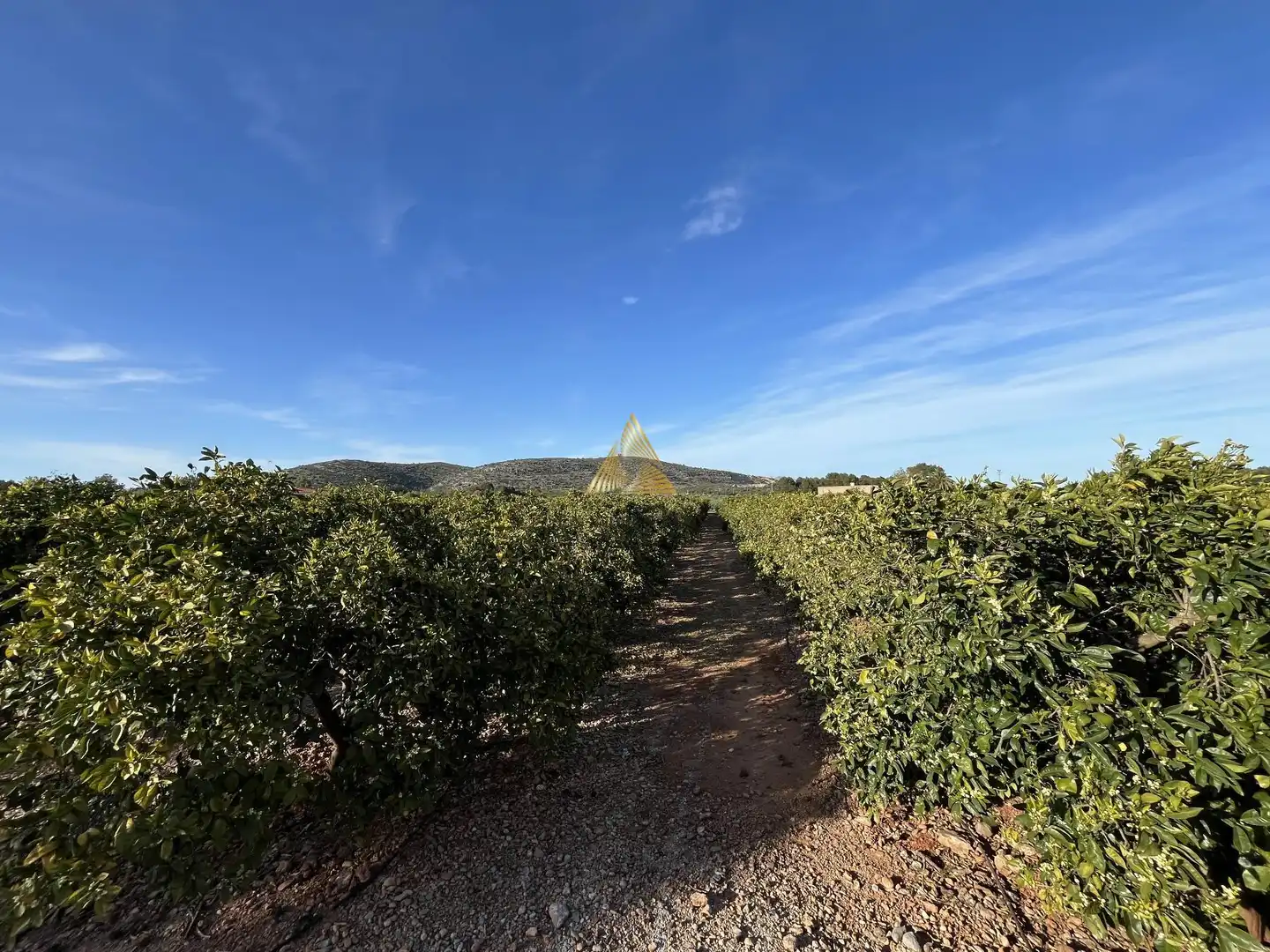 Terrenos y solares en venta en Pueblo, imagen 12