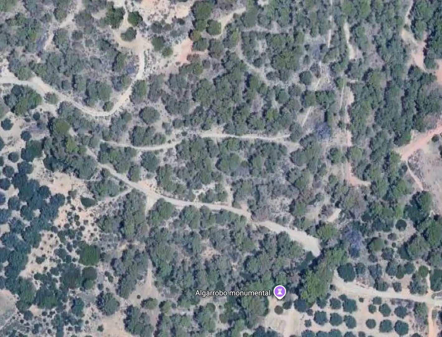 Terrenos y solares en venta en Pueblo - Urbanizaciones