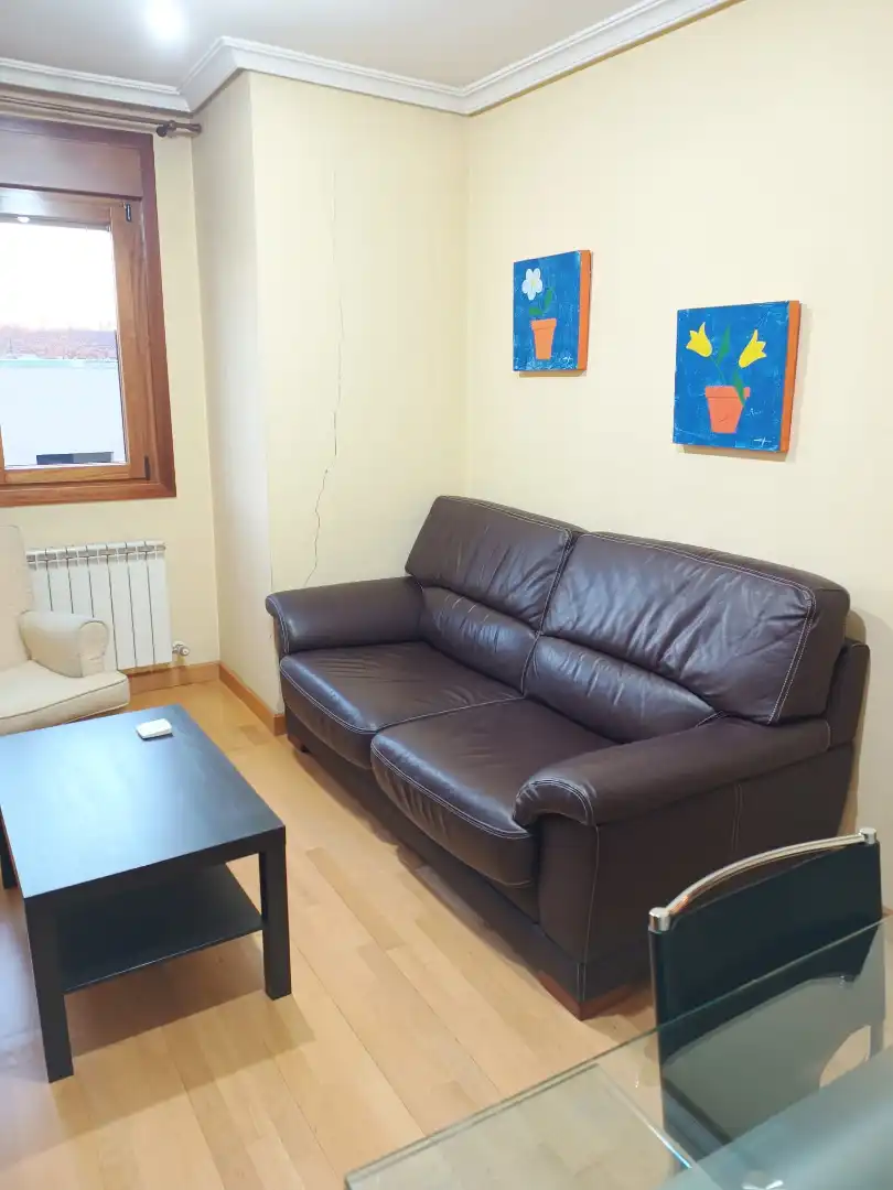 Sala de estar de Apartamento de alquiler en Palencia con Amueblado