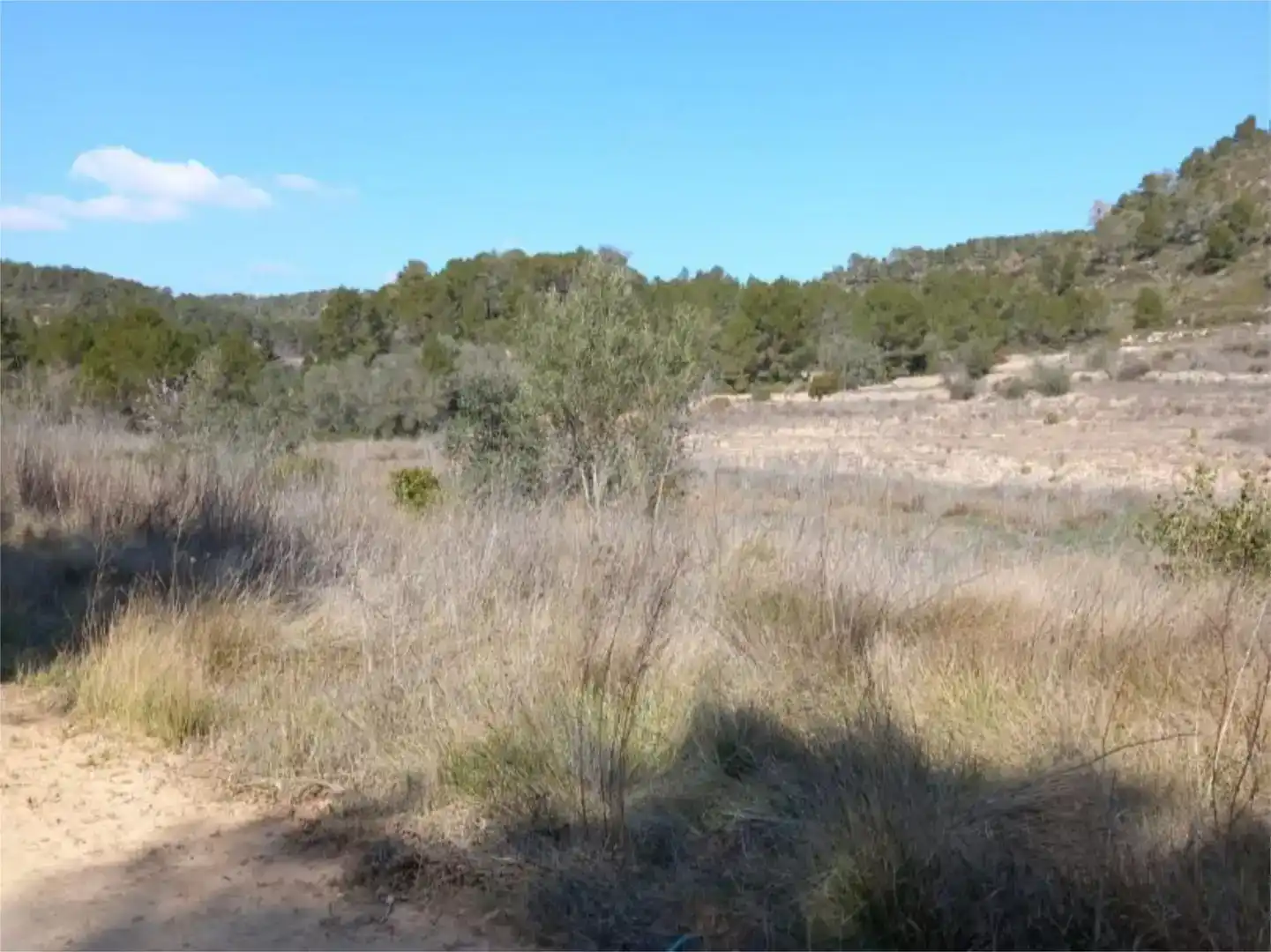 Terreno en venta en Corbera d'Ebre