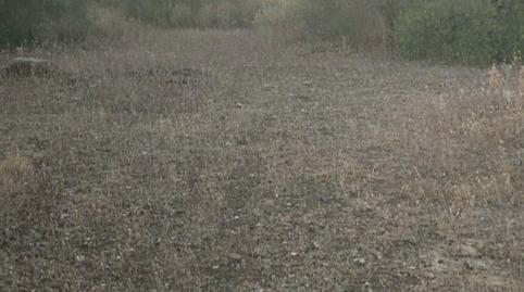 Foto 2 de Terreno en venta en A-436, 24, Lora del Río, Sevilla