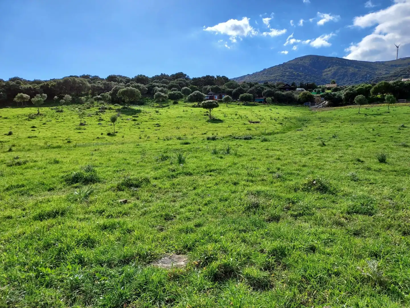 Terreni e lotti in vendita a Tarifa ciudad, imagen 18
