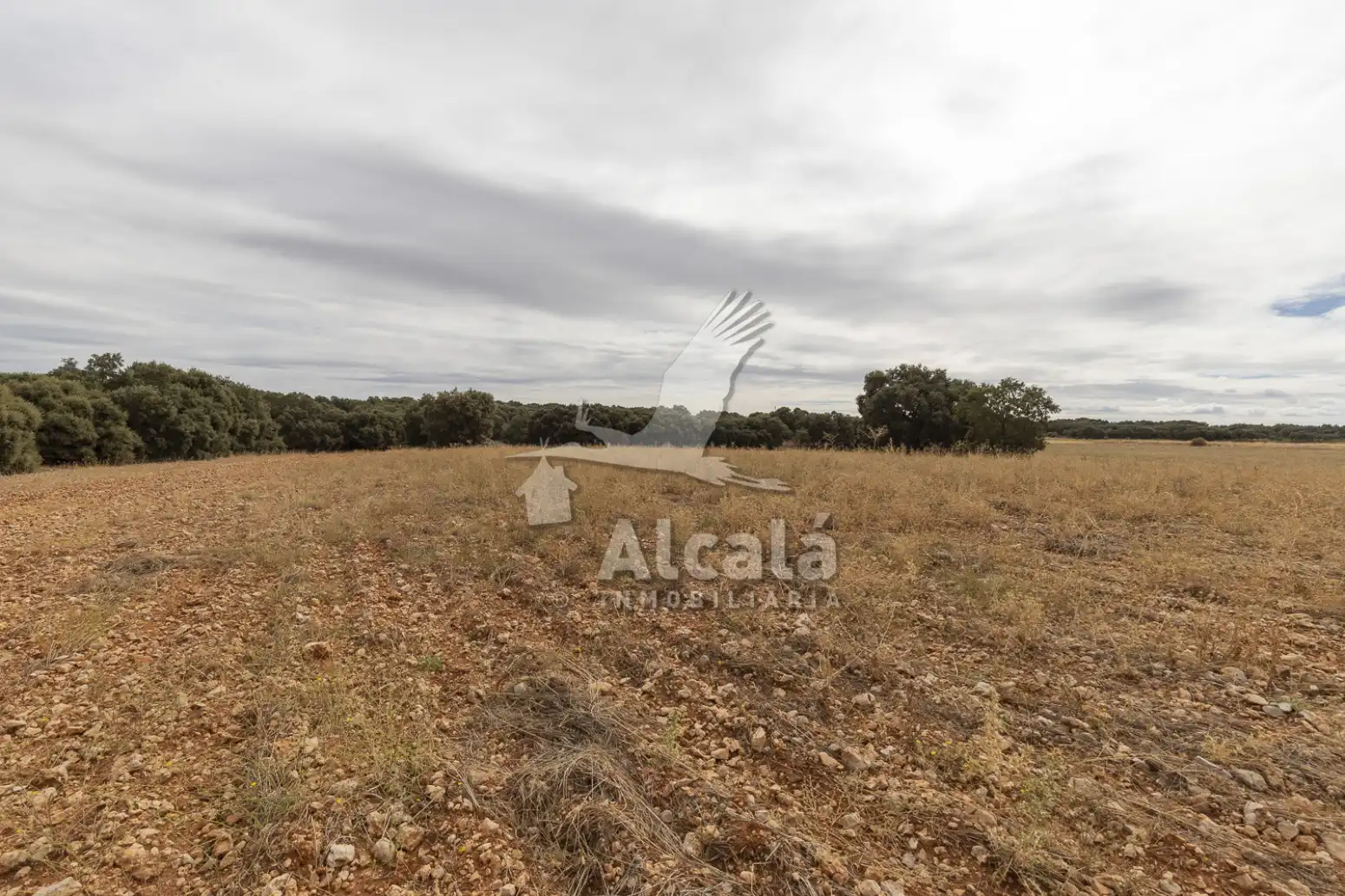 Terreny rústic en venda a Hueva, imagen 18