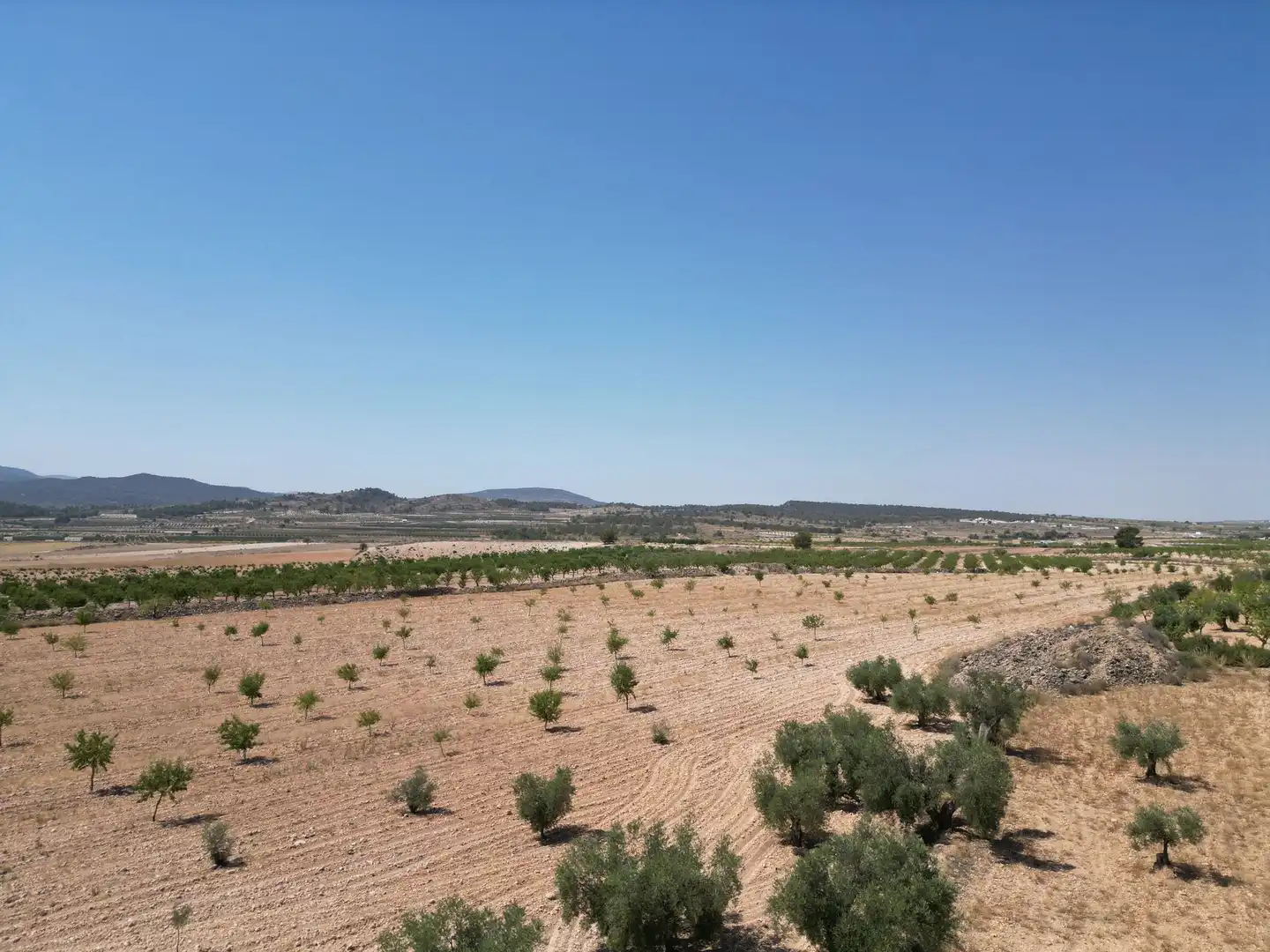 Terreno residencial en venta en El Pinós / Pinoso, imagen 2