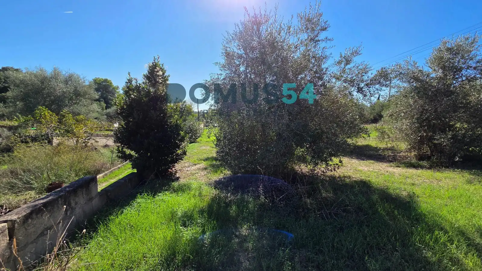 Terreno en venta en Campanet