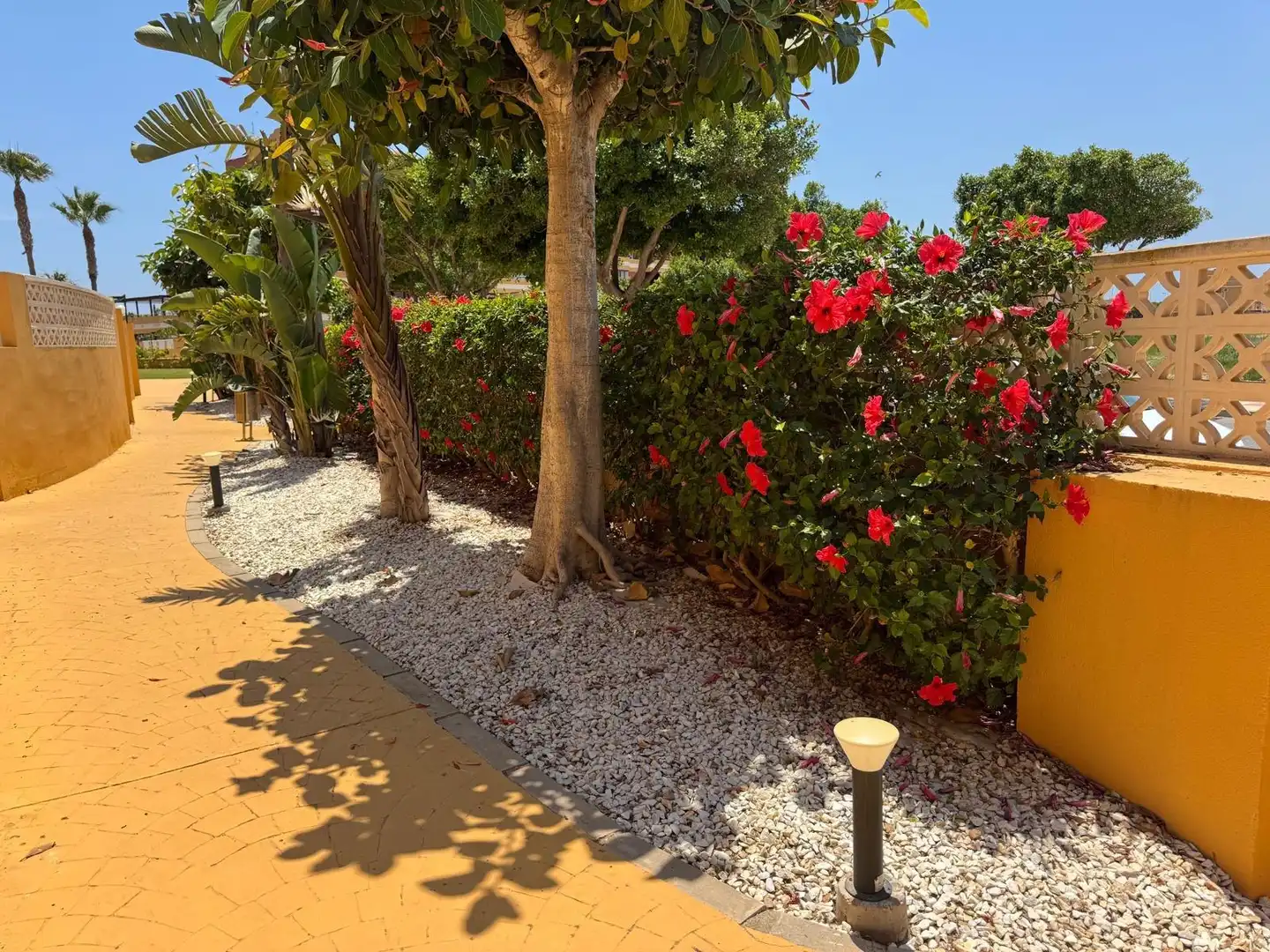 Jardí de Pis en venda en Roquetas de Mar amb Aire condicionat, Terrassa i Piscina