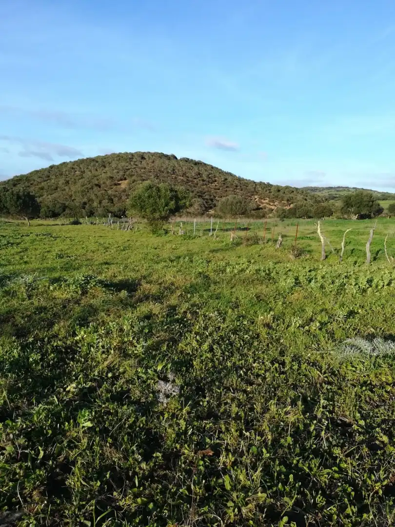 Terreny rústic en venda a Medina Sidonia, imagen 8