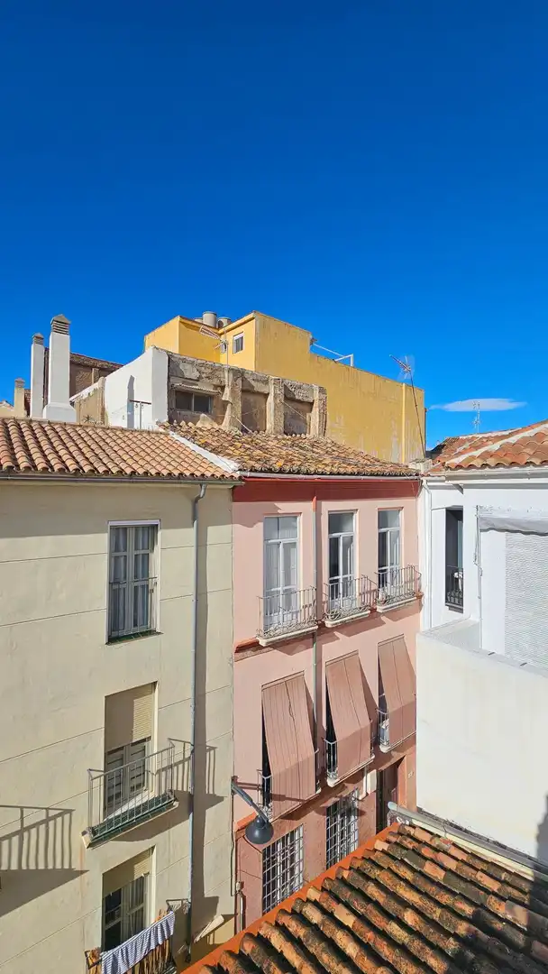 Inmuebles singulares en venta en Centro, imagen 13