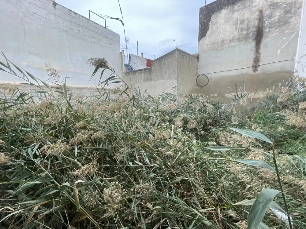 Terreno residenziale in vendita a Dolores, imagen 3