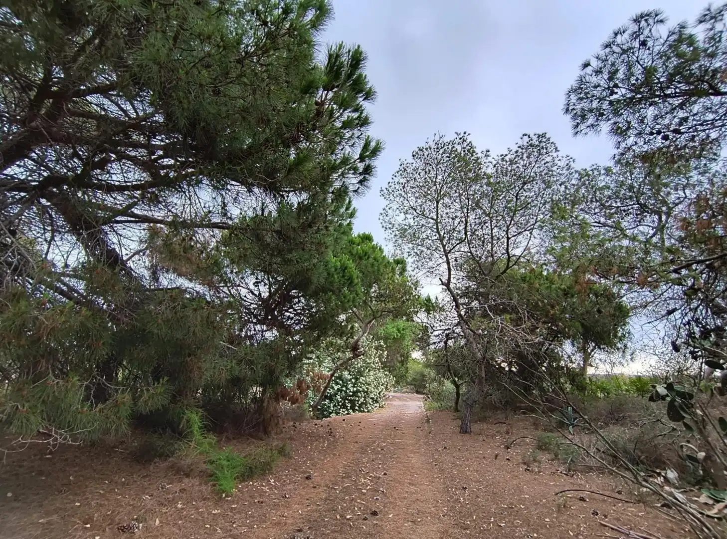 Finca rústica en venta en Cullera con Calefacción, Jardín privado y Terraza