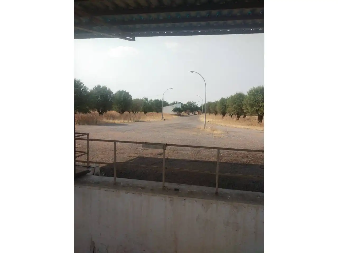 Terreny residencial en venda a Calle Torralba de calatrava, imagen 19