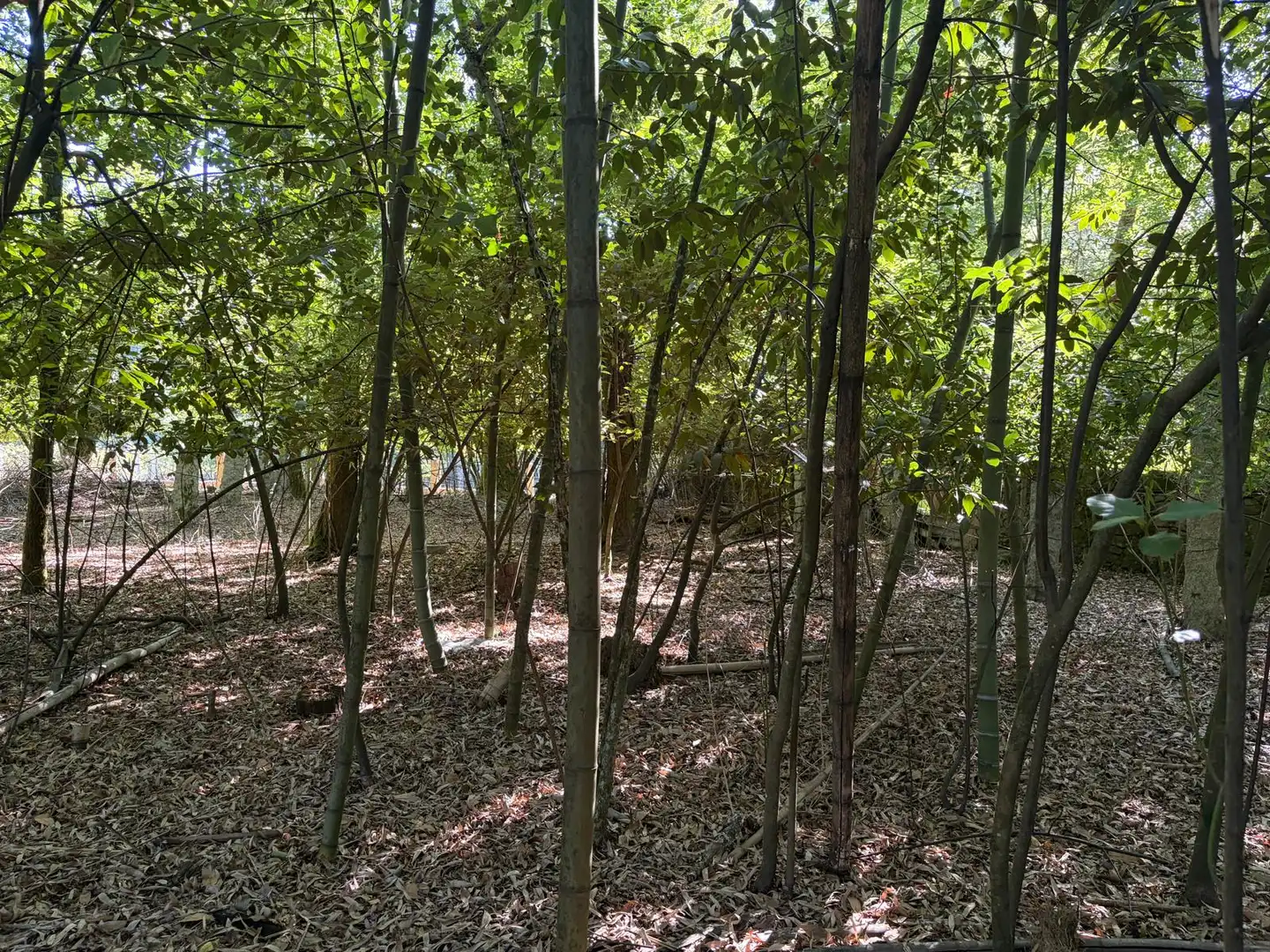 Casa rústica con jardín en venta en PO-254, imagen 33