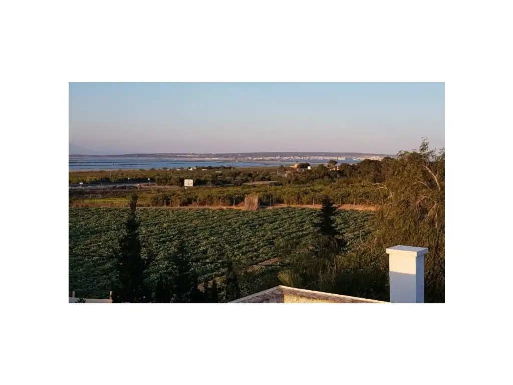 Casa o xalet en venda en Elche / Elx amb Jardí privat, Terrassa i Piscina
