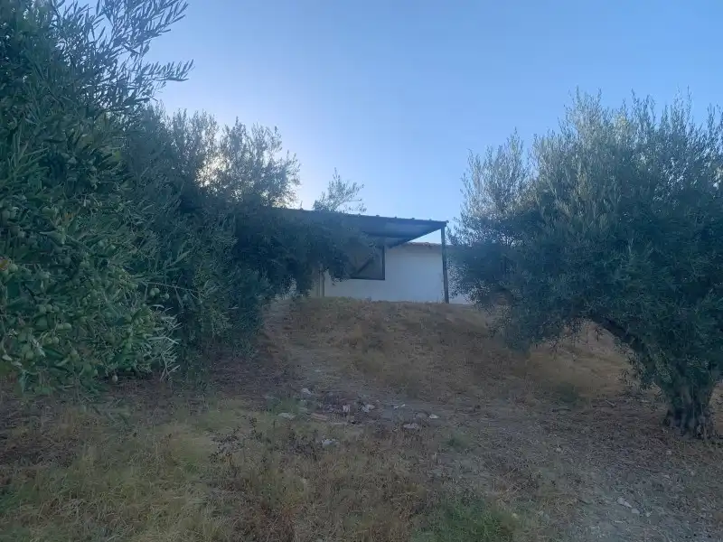Casa rustica in affitto a Centro, imagen 4