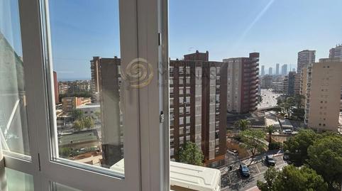 Foto 2 de Estudi en venda a Juzgados - Plaza de Toros, Alicante