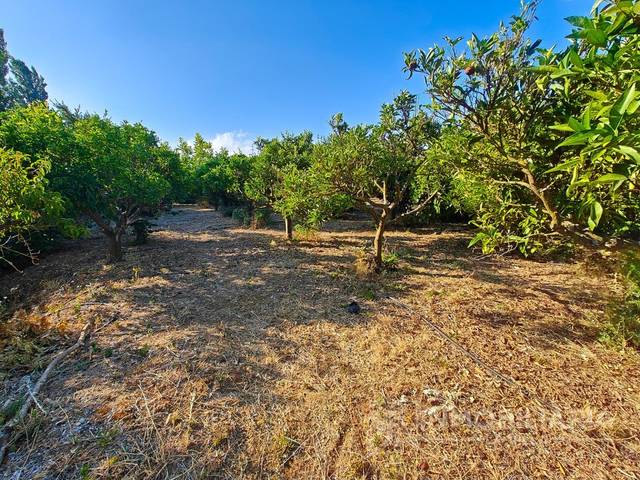 Terreno residencial en Alquiler en N/A en Coín