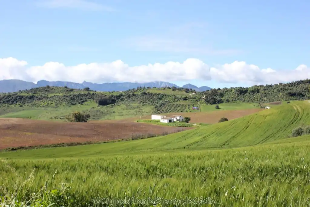 Casa rústica en venda a Algodonales, imagen 38