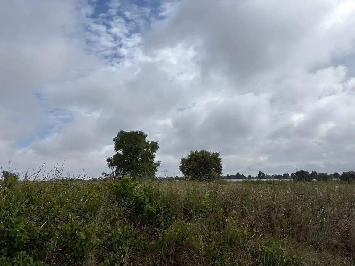Terreno rustico in vendita a Almonte ciudad, imagen 4