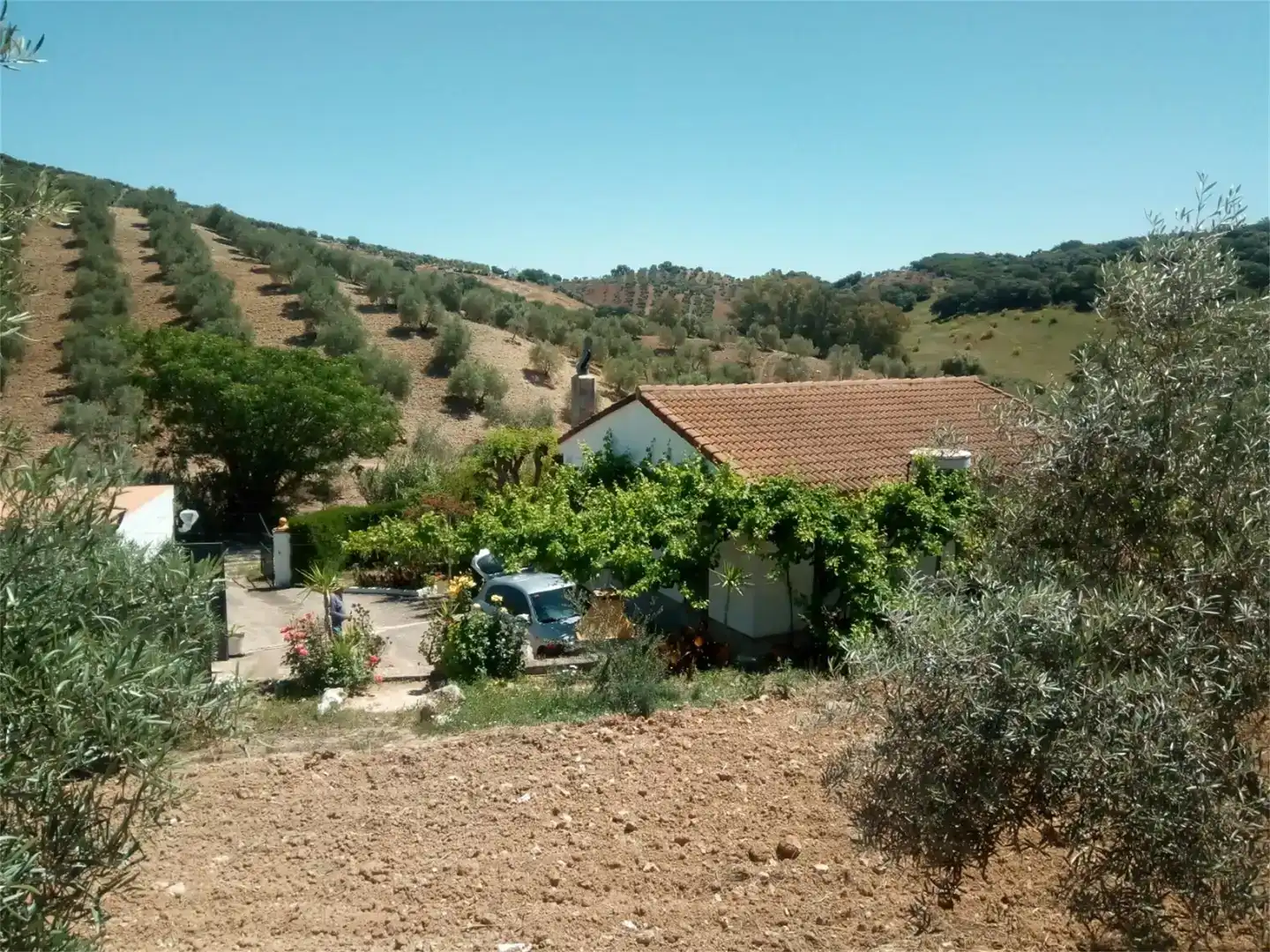 Terreno en venta en Montellano